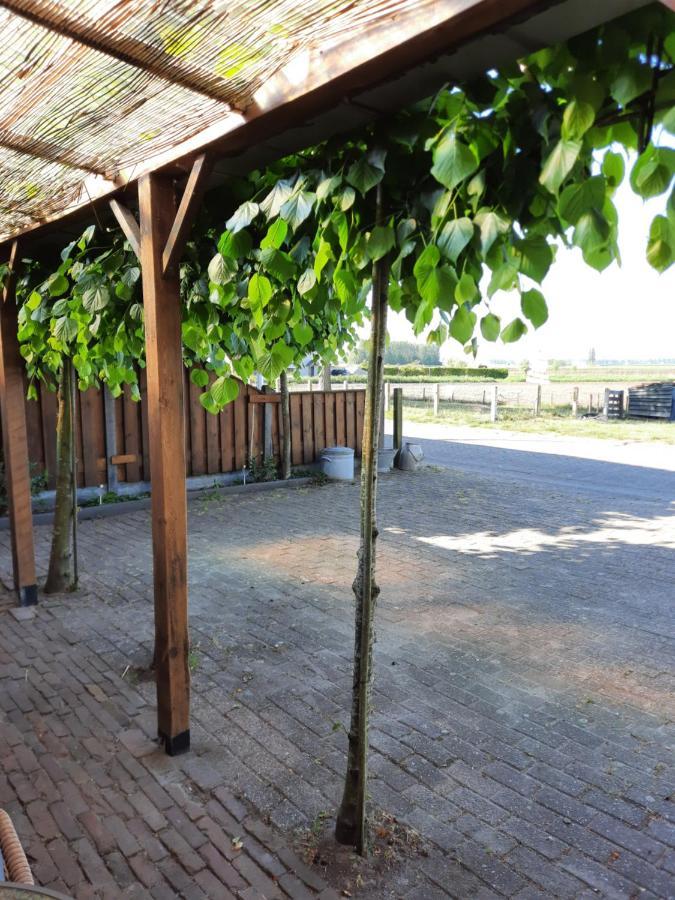 شقة Woensdrecht  في Anneke'S Bed En Botterhammeke المظهر الخارجي الصورة